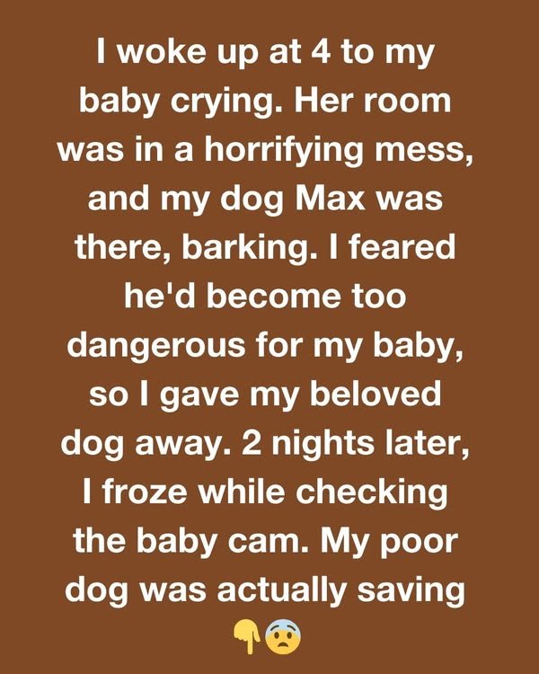 13 True Stories That Prove Our Pets Can Become the Center of Our Lives