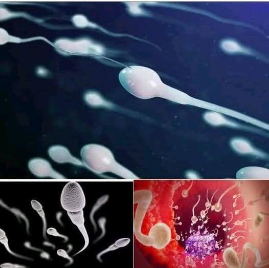 !!! Studies reveal that swallowing your partner’s semen.. Details in Comments 