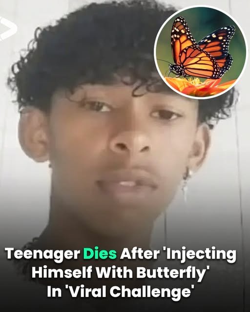 Boy, 14, dies after injecting himself with butterfly in viral online challenge