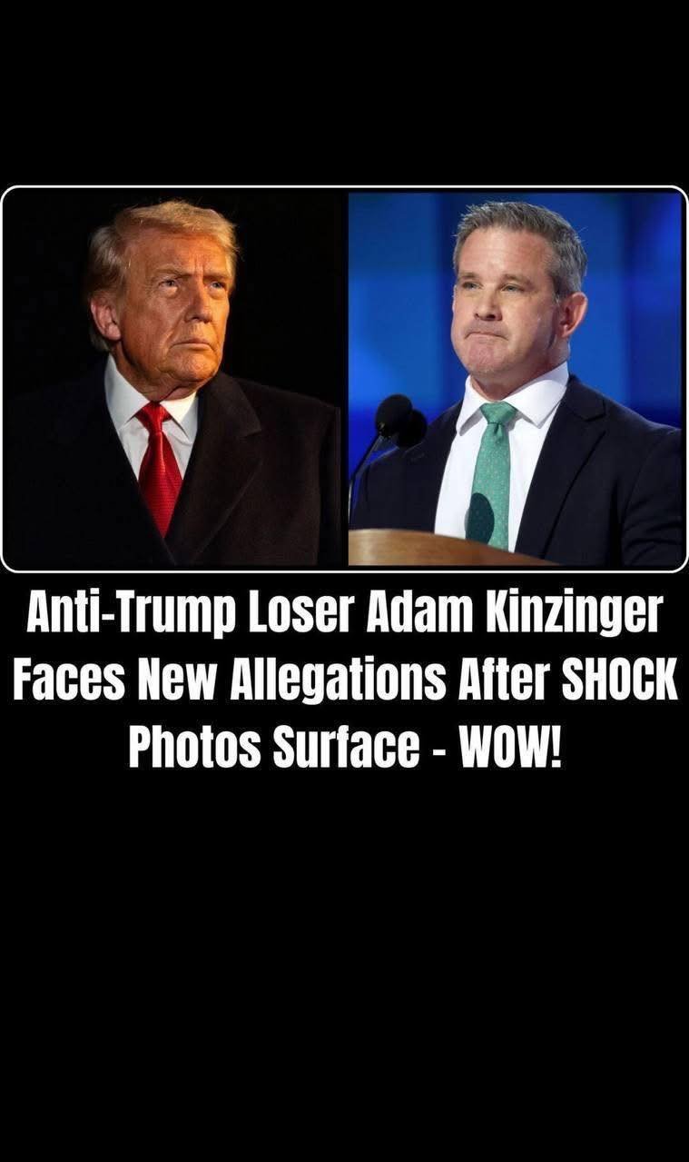 Adam Kinzinger Faces Online Controversy After Heated Exchange With White House Official