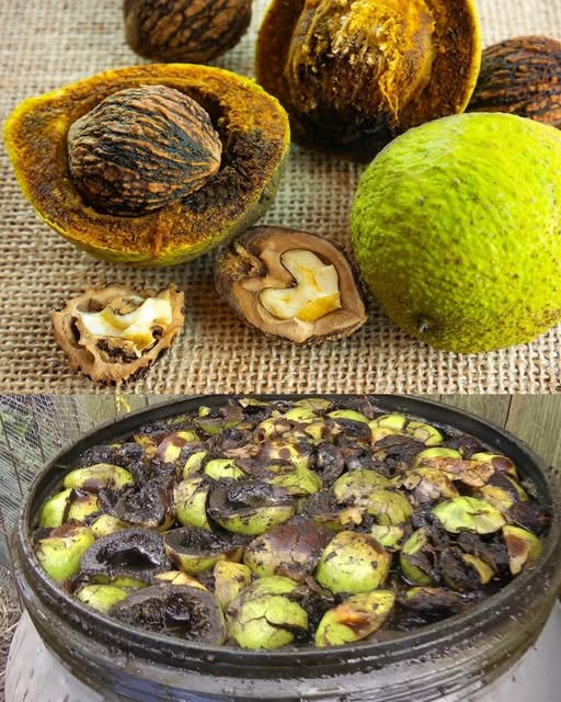 The Power of Black Walnut Hull