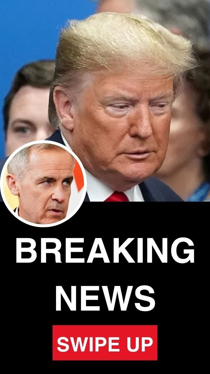 Canadian prime minister’s reaction to Donald Trump before interrupting him during conference sparks serious divide